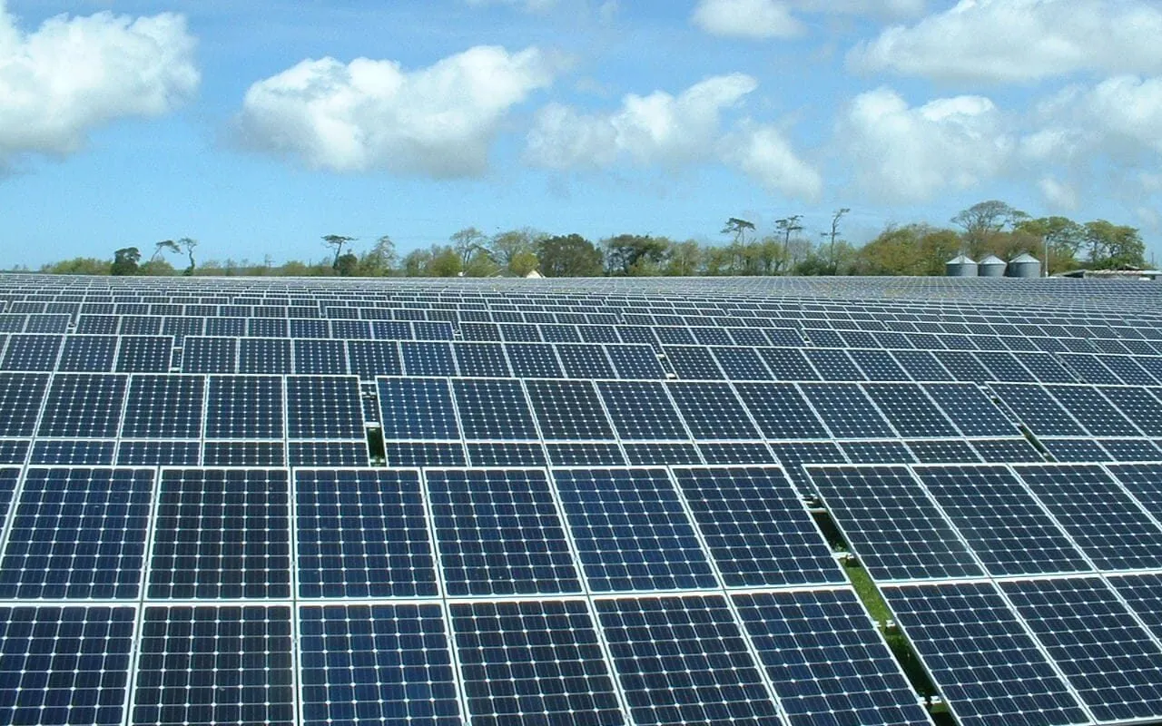 West Wyalong Solar Farm site photo 2