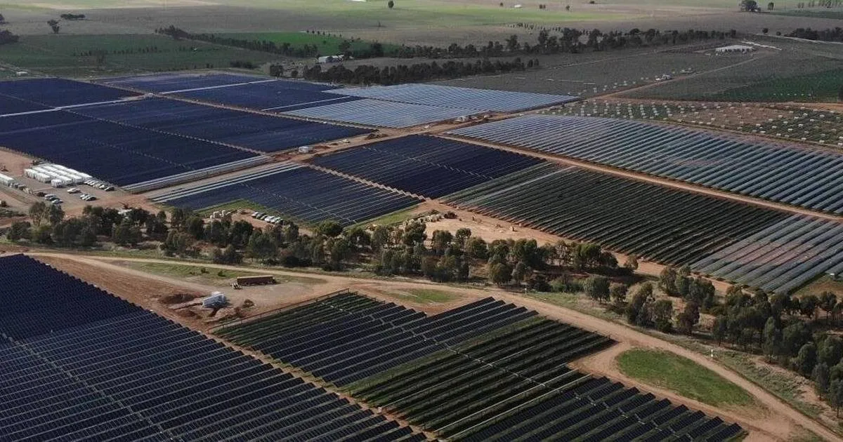 West Wyalong Solar Farm site photo 3