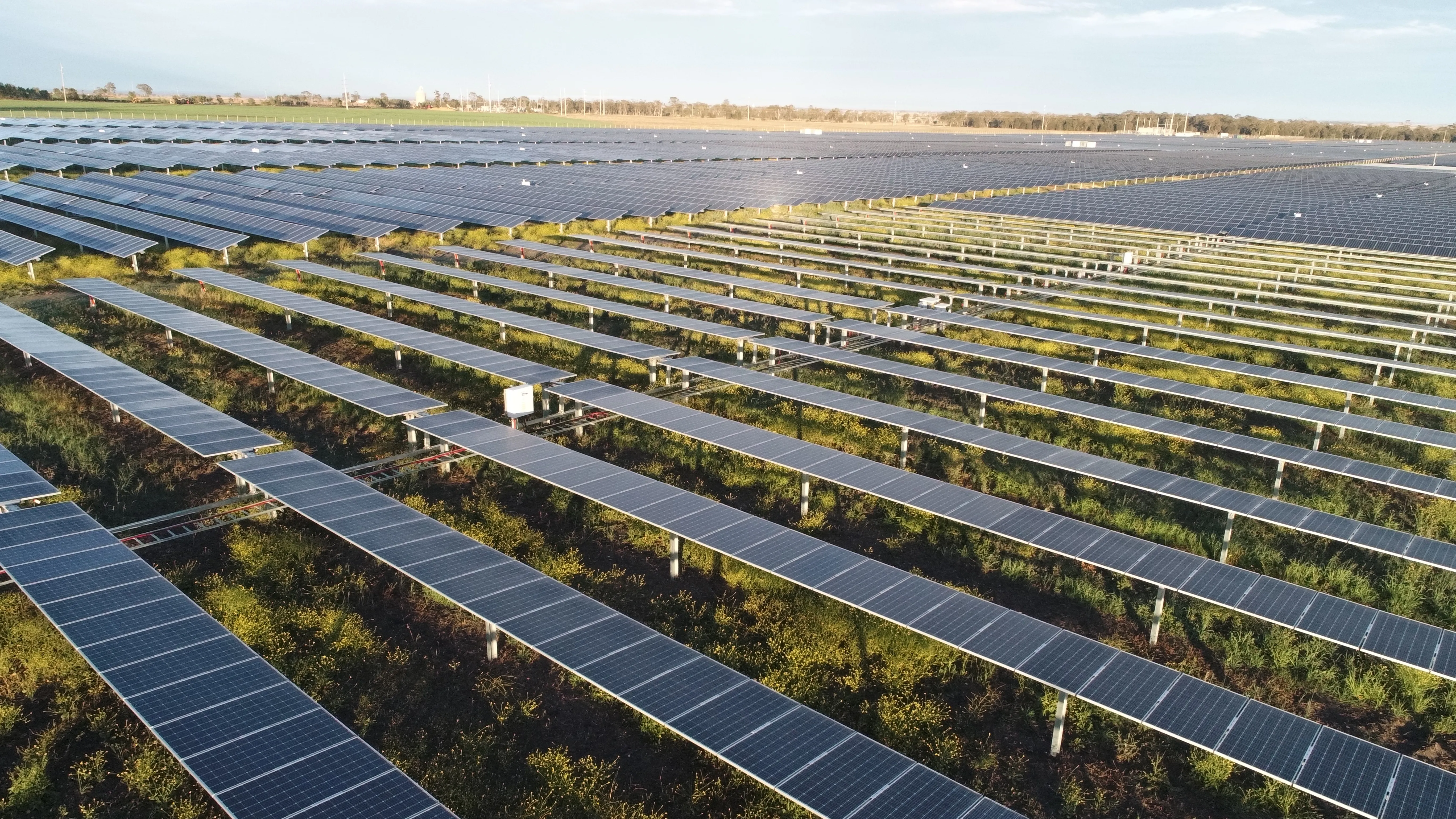 Solar arrays at Yarranlea Solar Farm in Queensland